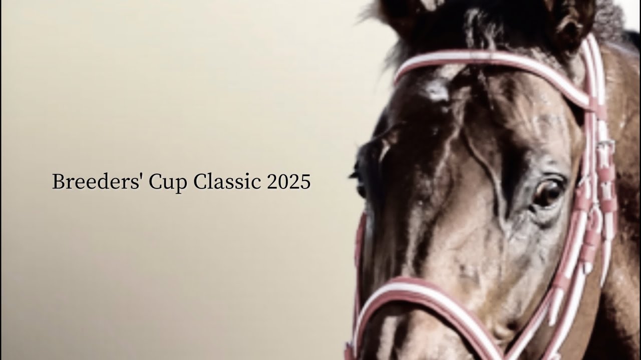 フォーエバーヤング ブリーダーズカップ・クラシック JRA CM風 - YouTube