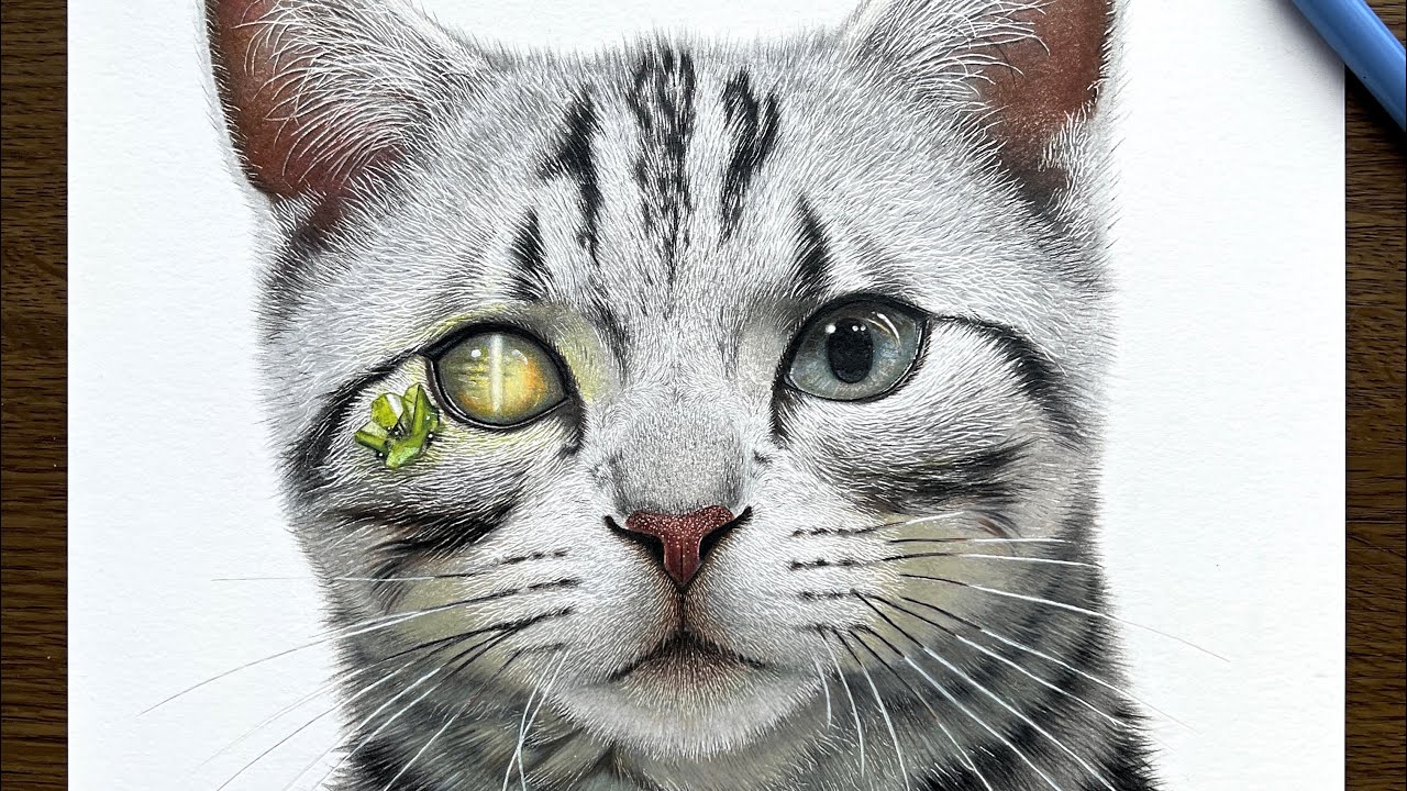 色鉛筆で描いた目が宝石になったネコ🐱💎 I painted a cat whose eyes