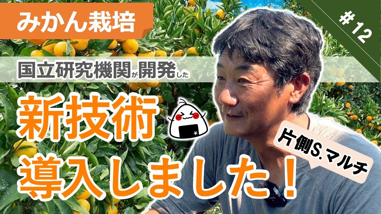 美味しいみかんを作る！傾斜地向け片側S.マルチ【導入編】 - YouTube
