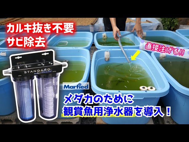 マーフィード スタンダード ネオ カルキ抜き マーフィード】浄水器
