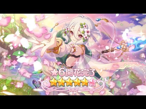 プリコネフェス2022 コッコロのおさいふ プリコネフェス2022 コッコロ