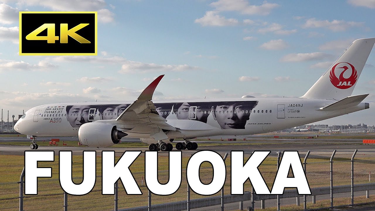 レア 特大 リアル JAL 日本航空 A350 嵐 20th ジェット1/200 レア