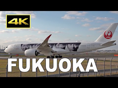 4K] Special Livery JAL A350 