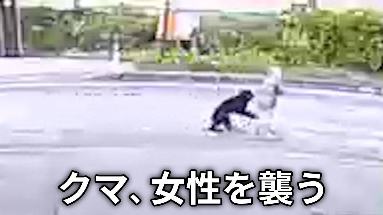 散歩中の女性、背後からクマに襲われる…秋田・大仙 - YouTube