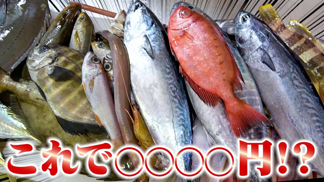 YouTuber×社会問題】未利用魚が持つ日本の一次産業の可能性 | Carry On