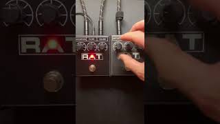 ProCo Rat 2 Red Ikebe Exclusive - Pedal on ModularGrid