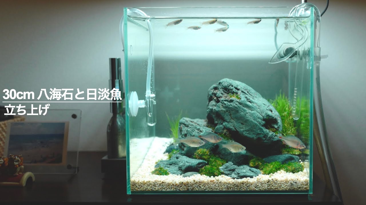 ADA 30cm キューブ水槽 セット