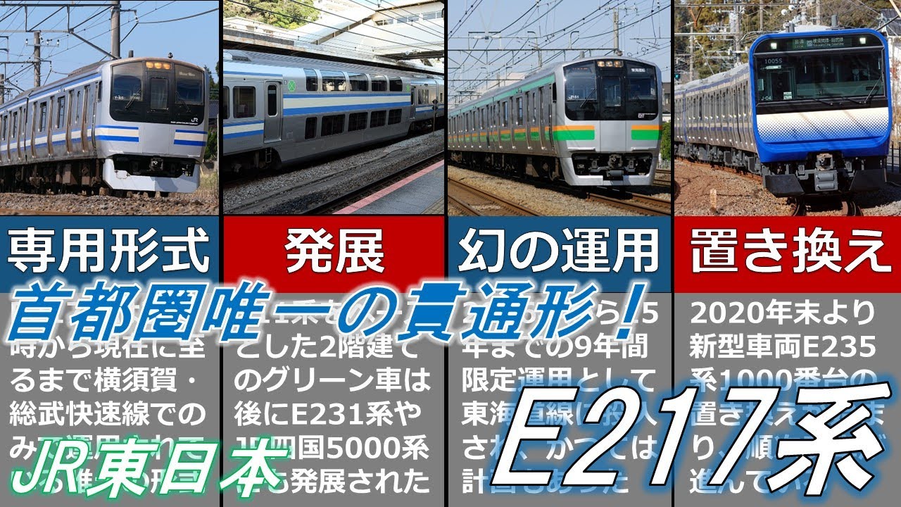 横須賀線カラートートバッグ総武線 横クラ 東マト E217系E231系E235系