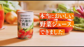 公式】世田谷自然食品 十六種類の野菜CM－無添加の果て編 - YouTube