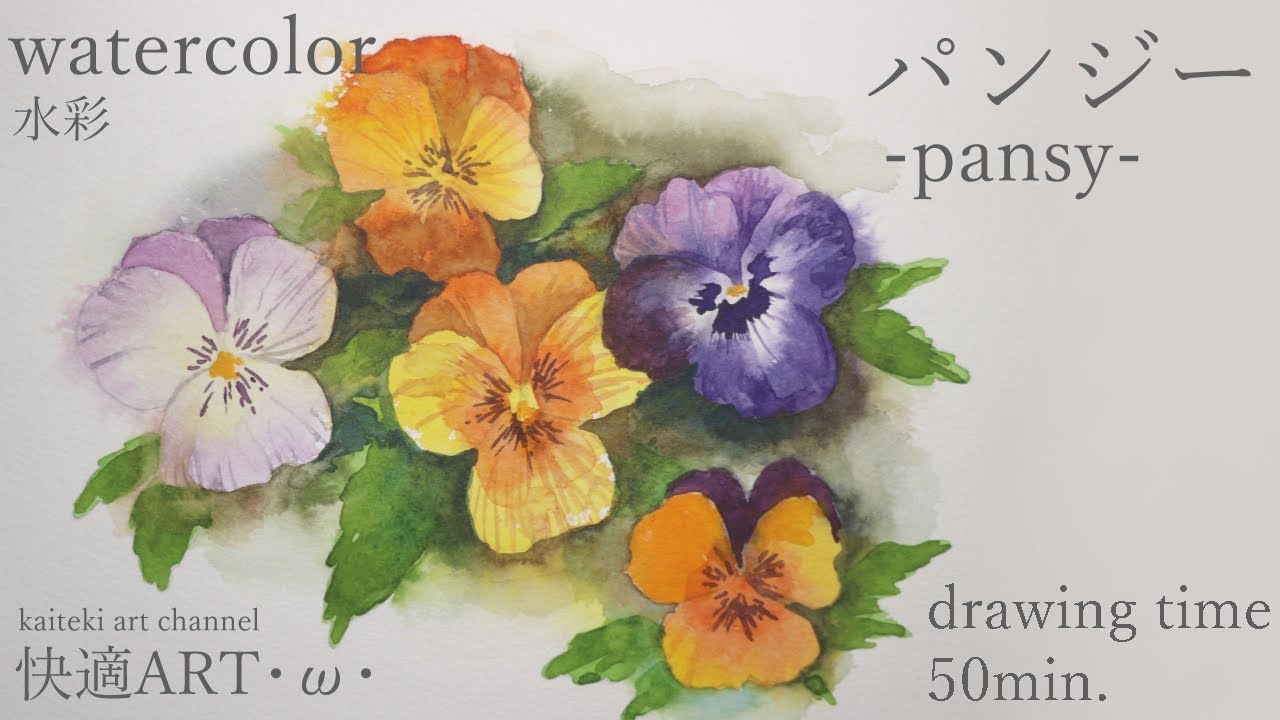 水越智三 pure tomato パンジー 鉢植え 花 イラスト 水越智三 pure