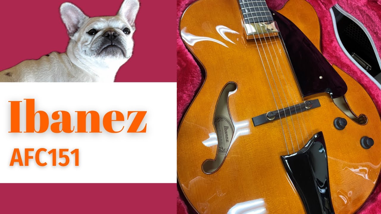 Ibanez AFC-151-DA 2021年製 アイバニーズのフルアコ 程度抜群！ - YouTube