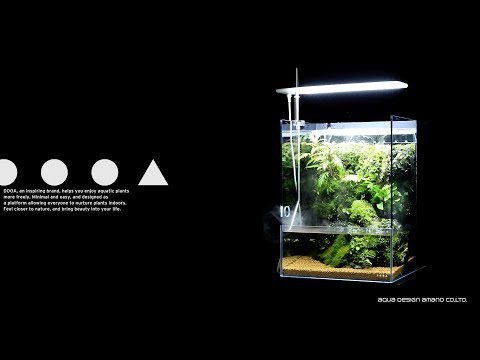 ADAview] DOOA システムテラ30 - YouTube