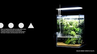 DOOA 展示開始 | アクアレビュー｜ADA正規代理店ネイチャー