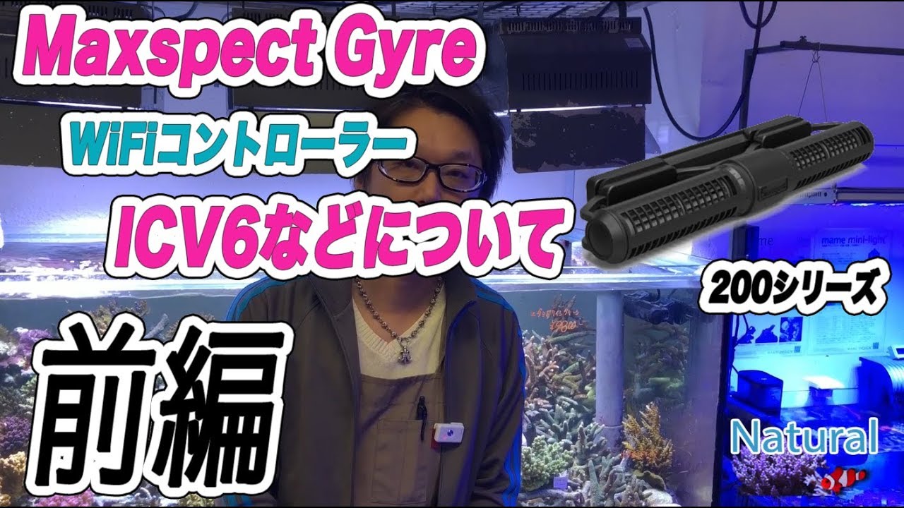 Maxspect Gyre XF-350 本体1台セット - 海水魚ショップ ナチュラル