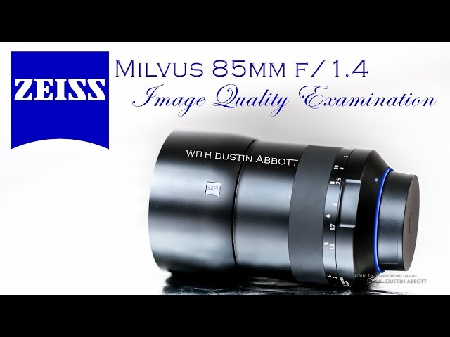 Zeiss Milvus 85mm f/1.4 | Image Quality, Resolution, and Bokeh