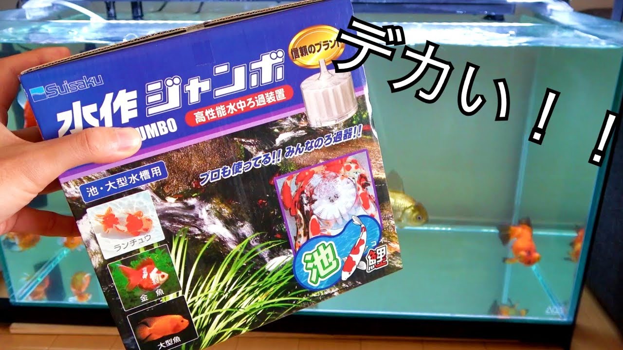 錦鯉 濾過槽 ろ材 自動 こいこいアクア フィルター 大型 錦鯉 濾過槽