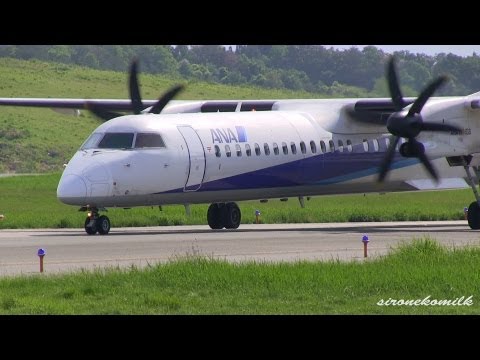 航空機・ヘリコプター ANA DHC-8-402Q Dash 8 JA856A ANA DHC-8-402Q