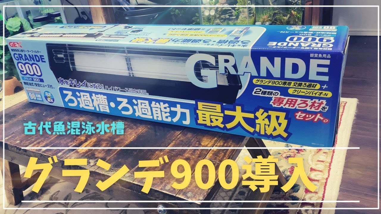 I'm giving up on the Super Turbo 600 and going for the Grande 900