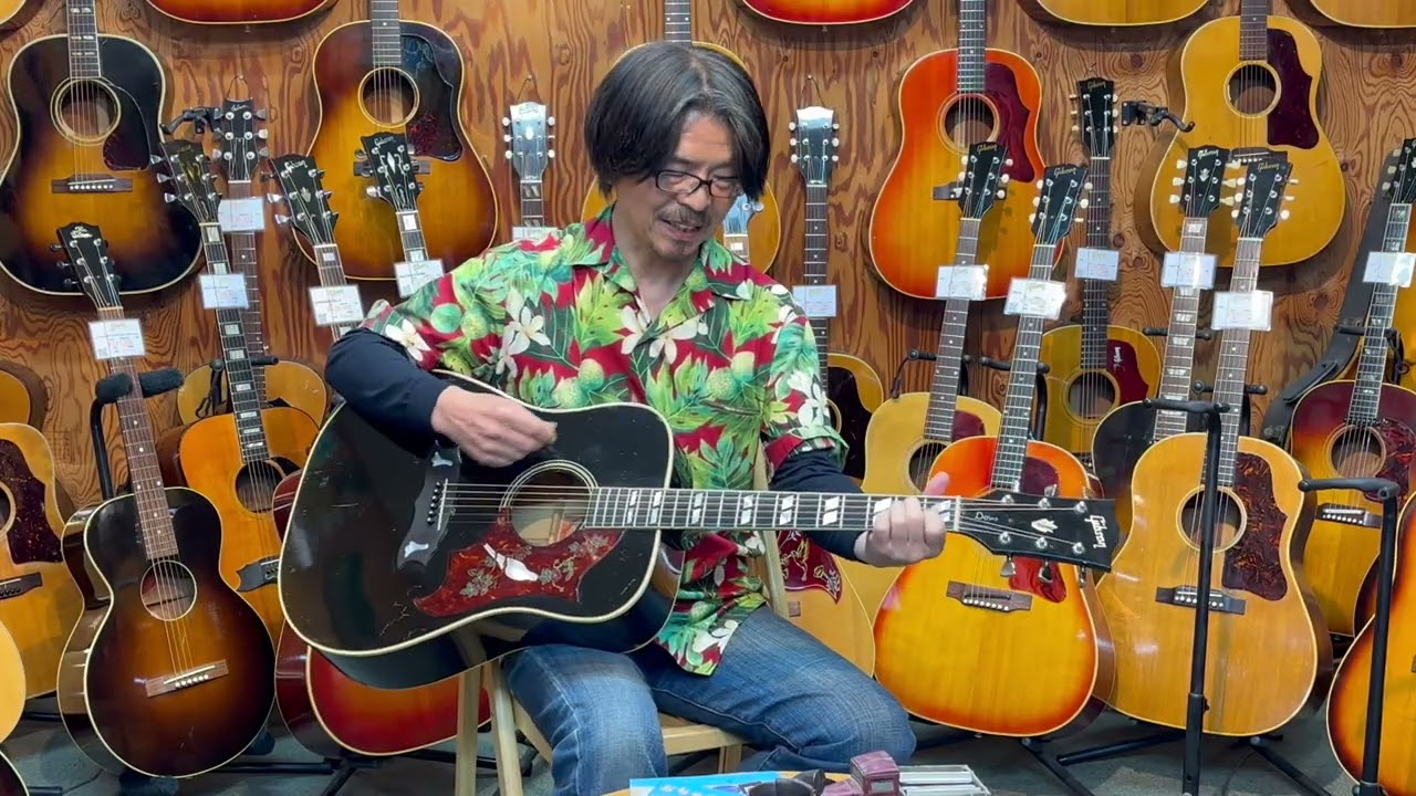 Morris. Gibson Dove、1980年代美品ハードケース付き Morris. Gibson