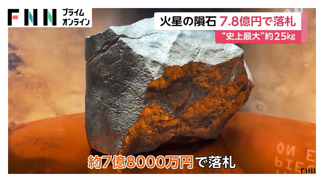 火星の石(隕石) 欠片 標本 火星の石が大阪・関西万博に初登場！】発見