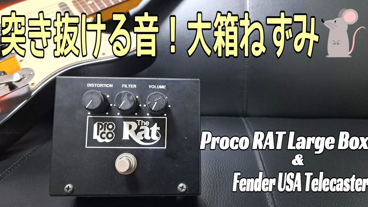 Rough and gingin! ! ] Proco RAT Large Box & Fender USA Telecaster