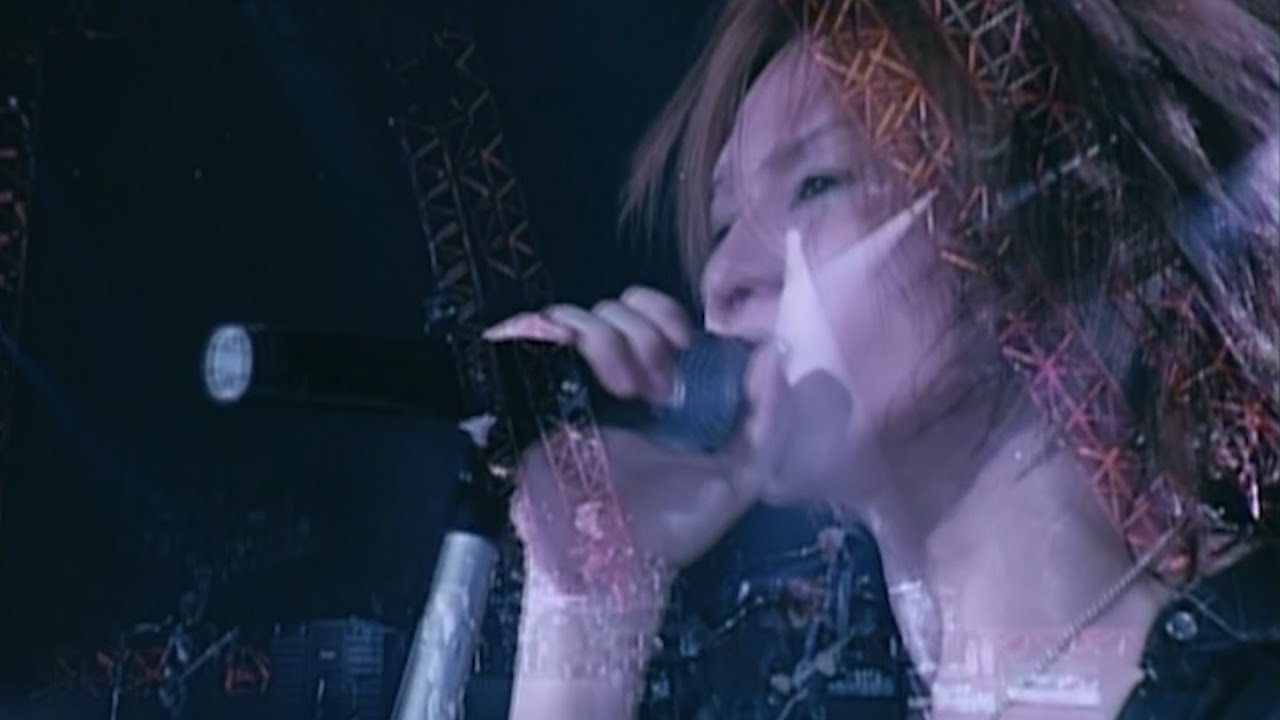 Janne Da Arc Live Infinity 2002ラグランスリーブT Janne Da Arc Live