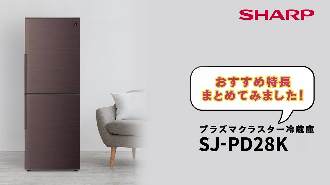 極美品】2024年製 SHARP 冷蔵庫 SJ-PD28K-T 280L シャープ SJ-PD28K-T