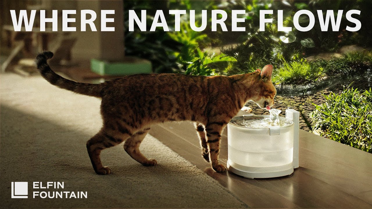 エルフィン給水器