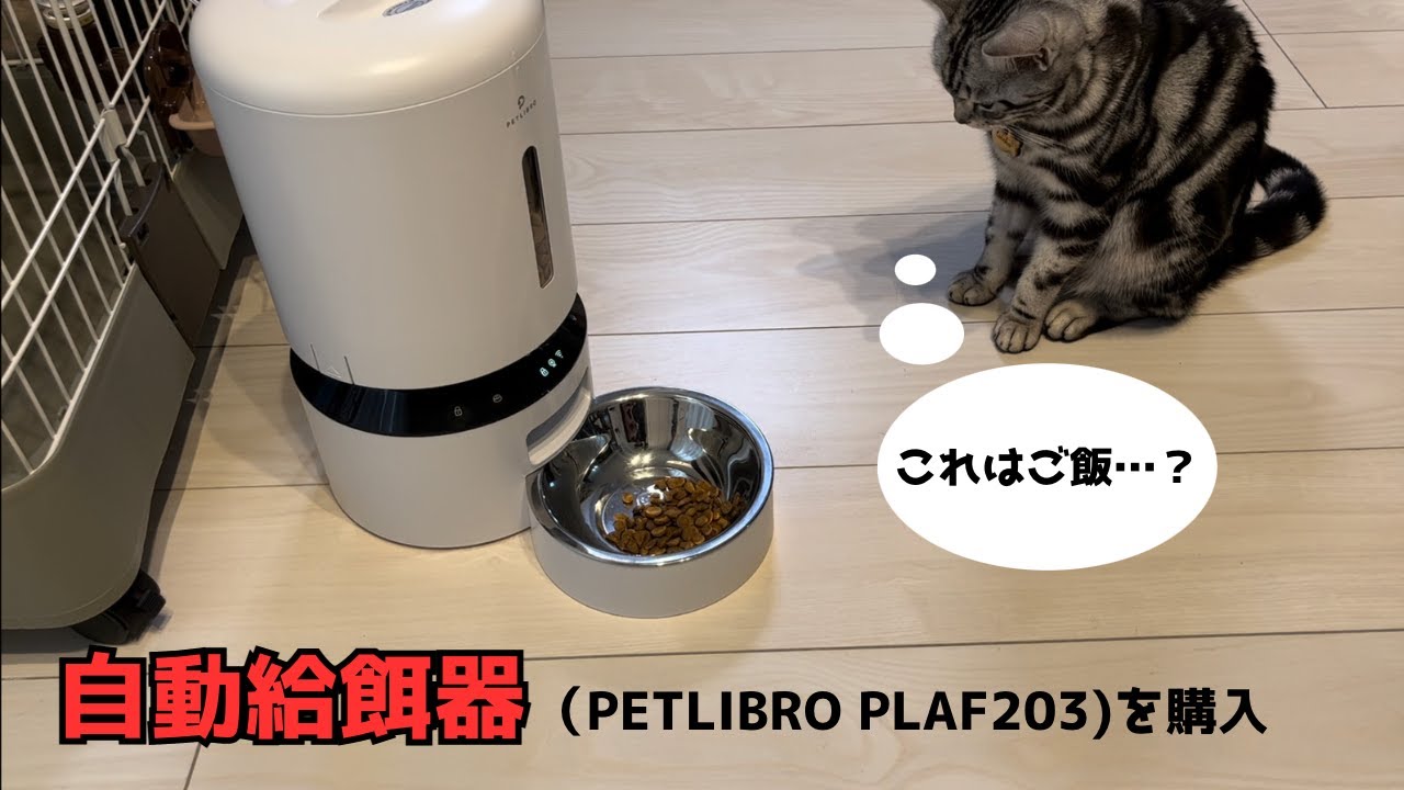 自動給餌器（PETLIBRO PLAF203）を購入しました！ - YouTube