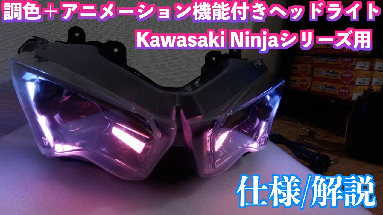 Kawasaki Ninja ZX-4R/ZX-4RR 23年 フルLED カスタムヘッドライト