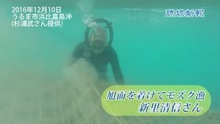ウミンチュ待望「旭面」復刻へ 沖縄・嘉手納の杉浦さん、製造奮闘 伝統