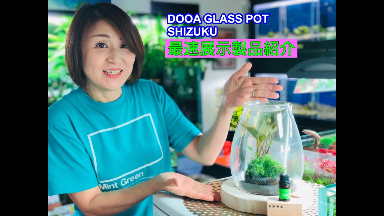 ADA DOOA NEW製品 GLASS POT SHIZUKU のご紹介 AquaRevue Neo CH