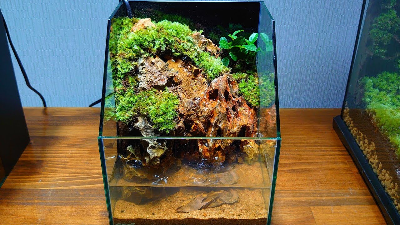 滝の流れる30cmキューブアクアテラリウム【レイアウト済みアクア