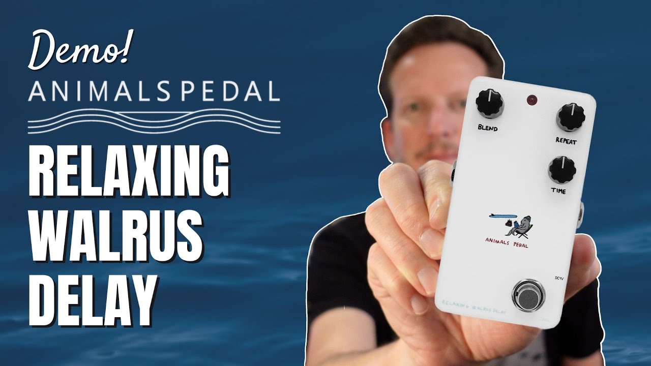 Animals Pedal - Relaxing Walrus Delay - Demo! - YouTube