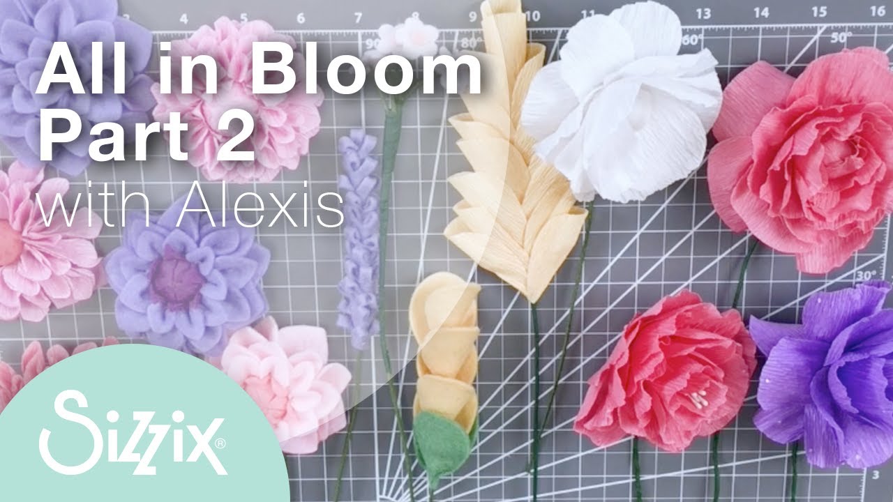 アルバム・スクラップ Sizzix Bigz Die Hocus Pocus 660962 Sizzix