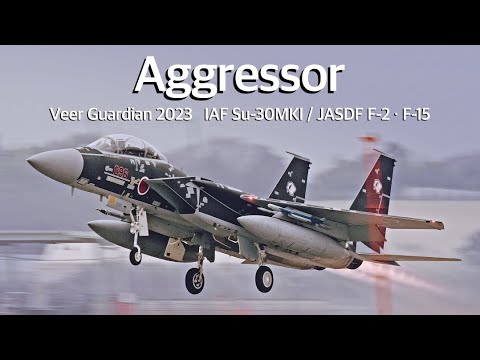 SU-30MK インドネシア空軍 限定版 1/72