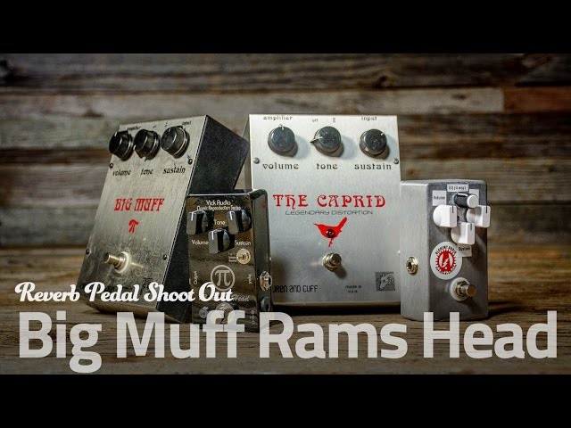 Big Muff Pi Ram's Head Shootout: Electro-Harmonix / Wren and Cuff