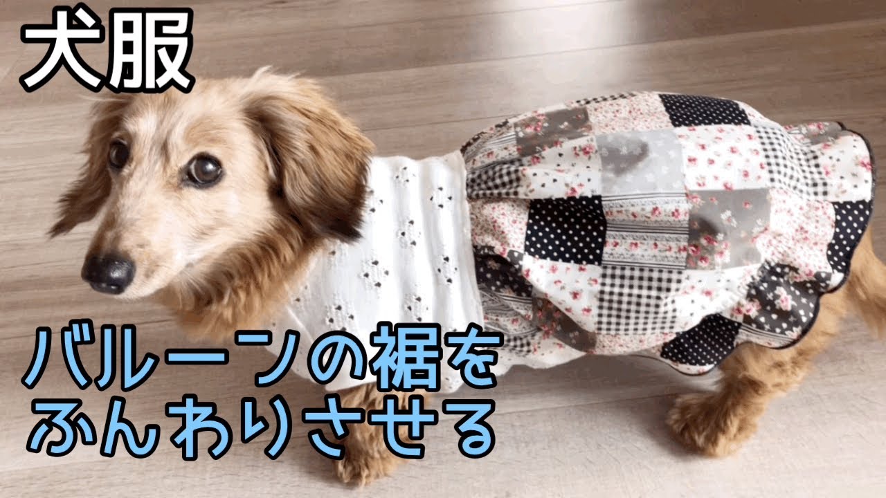 犬服ハンドメイド バルーンの裾をふんわりさせてみた dog clothes DIY