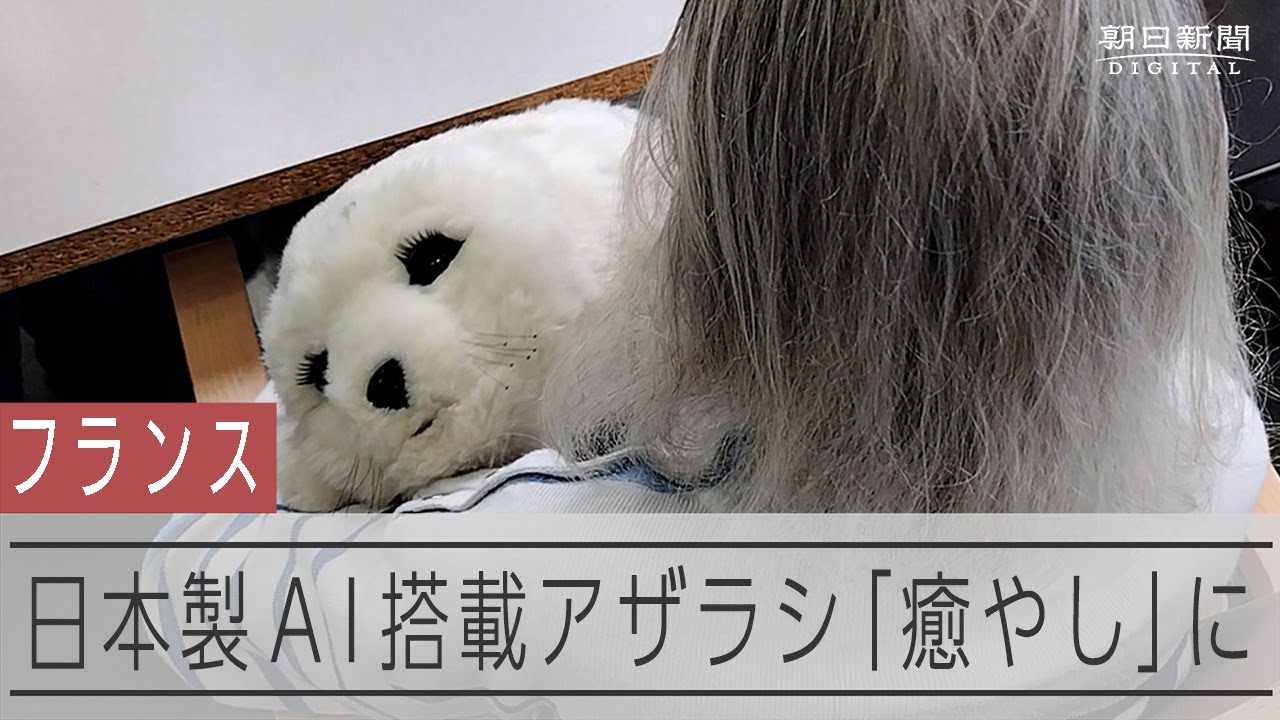 フランスの高齢者施設でも愛される AI搭載した日本のアザラシ型