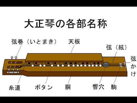 二弦琴 爪 牙 和楽器 大正琴 【公式通販】