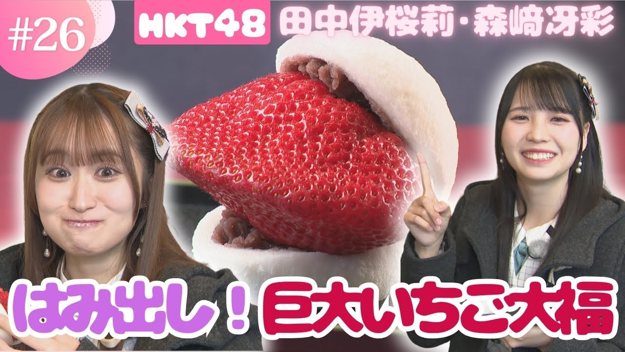 おっきないちご大福はむちゃま⋆*ぬいぐるみ 専用出品 ガチャ 和菓子の