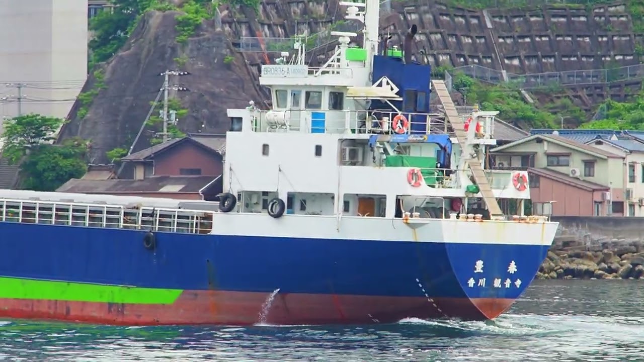 淳士旅行 2016年のぼり 淳士旅行のぼり 淳士旅行 2016年のぼり 淳士