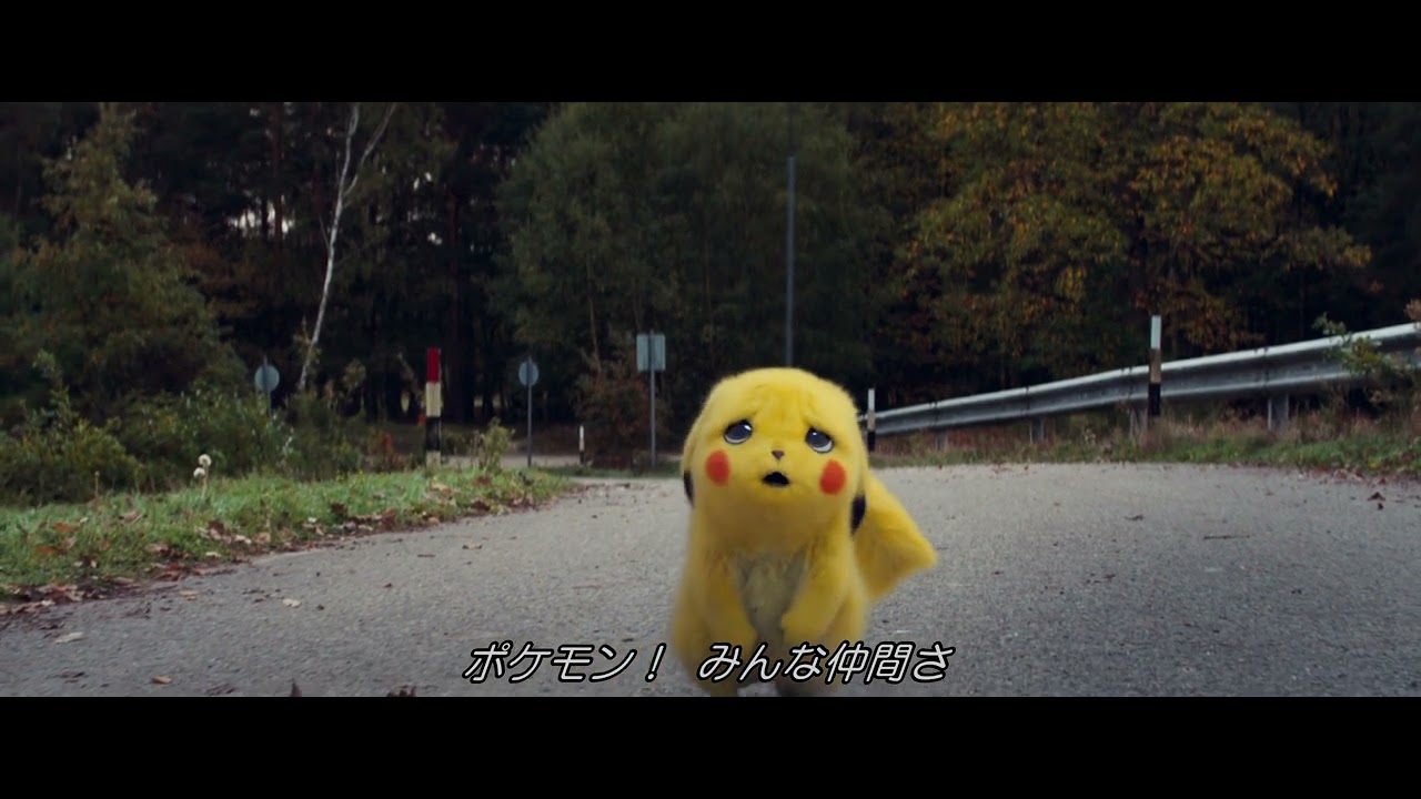 pokemon gotta catch 'em all! ピカチュウ ピカチュウex | ポケモン