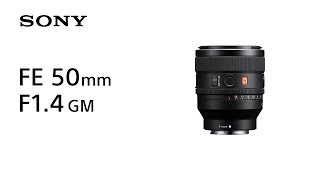 FE 50mm F1.4 GM | デジタル一眼カメラα（アルファ） | ソニー SONY