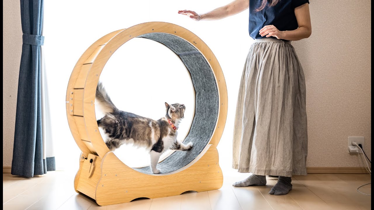 FUNKS キャットホイール 猫 90cm - YouTube