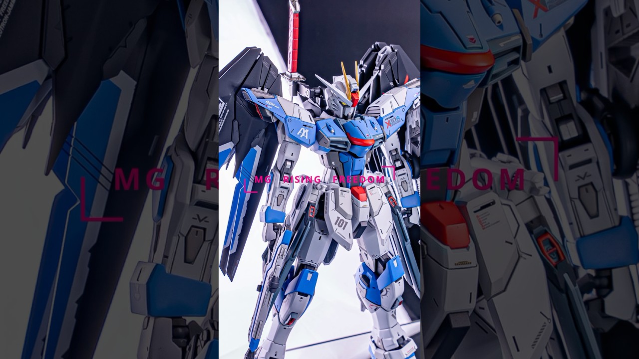 MG（ライジングフリーダム風）フリーダムガンダムver.2.0 全塗装 MG