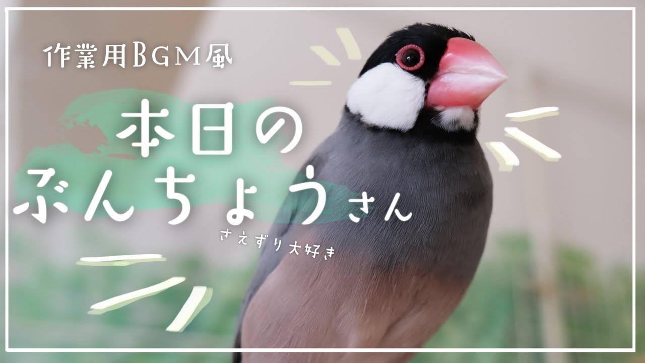 中型鳥用】螺旋状♪ビビリさんにもすぃすぃ登れるバードスタンド 中型