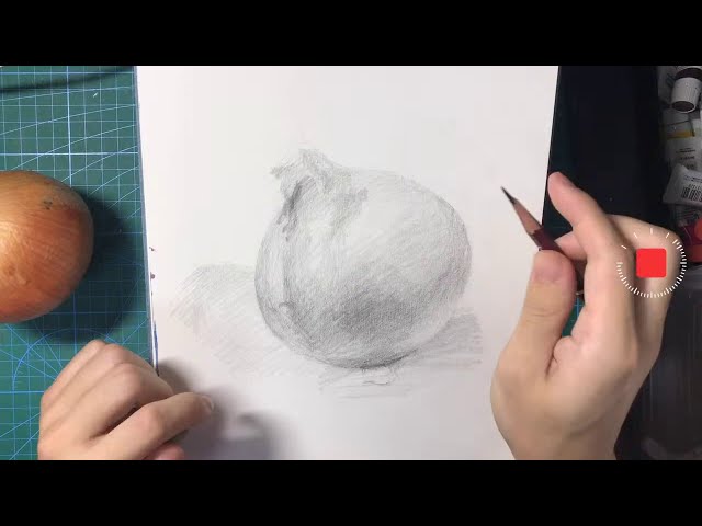 199【生配信】玉ねぎ デッサン 鉛筆画 pencil drawing - YouTube