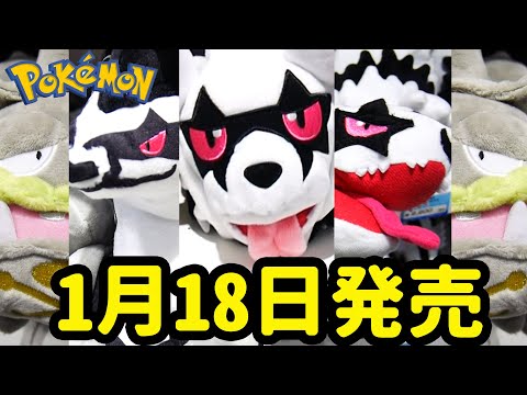 ポケモン剣盾】1月18日発売ガラルジグザグマ！ガラルマッスグマ