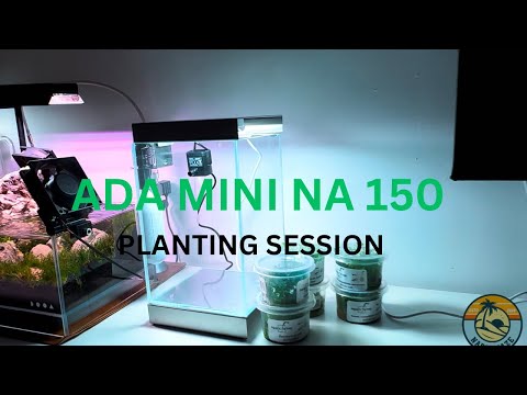 ライト・照明器具 ADA NATURE AQUARIUM MINI NA SET 50 ada-mini-na